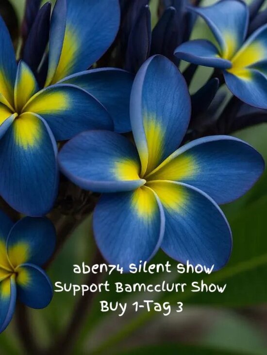 Other - Support Bam March 29th